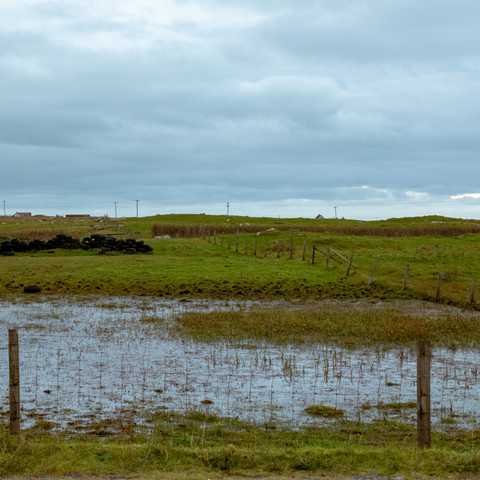 A tire wall, in a sodden field. 