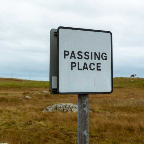 Passing place sign, with horses in the background. Many roads are single-track on Benbecula, with signage showing where cars should stop to let on-coming traffic pass. 